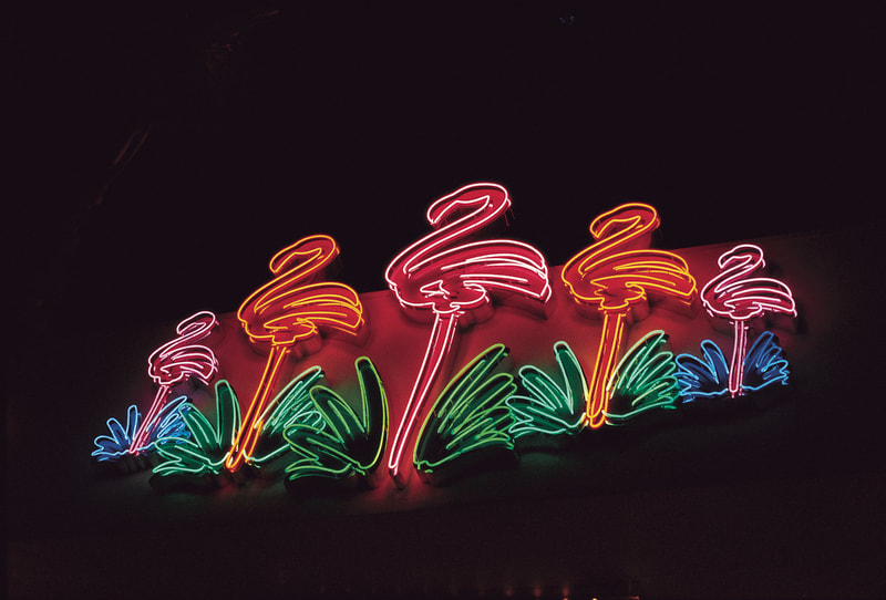 A neon sign with five flamingos alternating pink and orange, starting with pink on the left, with blue and green plants on either side of their feet. It is dark and the neon is illuminated.